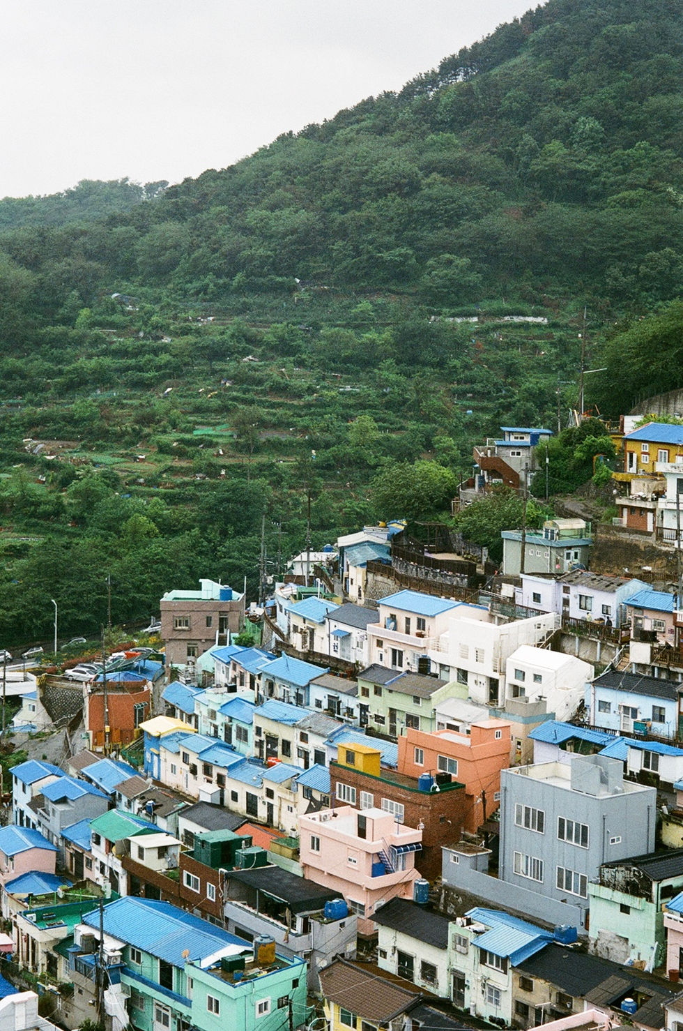 IMG_5882.jpg