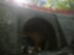Adeguamento sismico ponte ad arco.