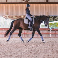 Ashley Shaw Dressage,
Galloping Springs Ranch