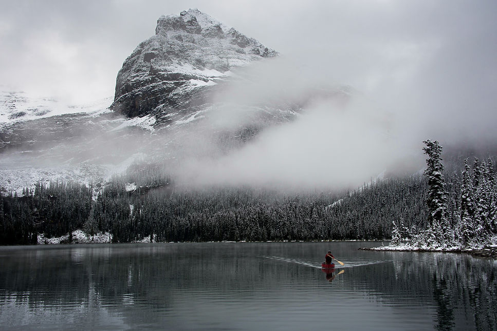 PriyaBiswas_Adventures In Nature_1.jpg