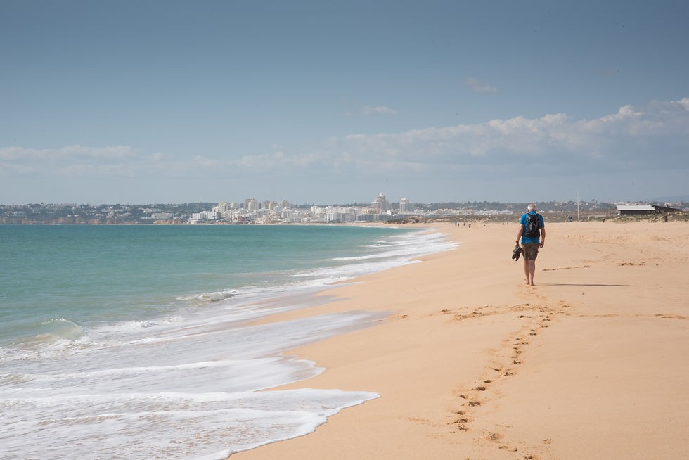 Gale Beach then Home