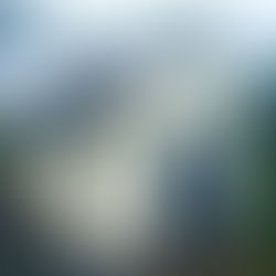 お庭の小屋塗装