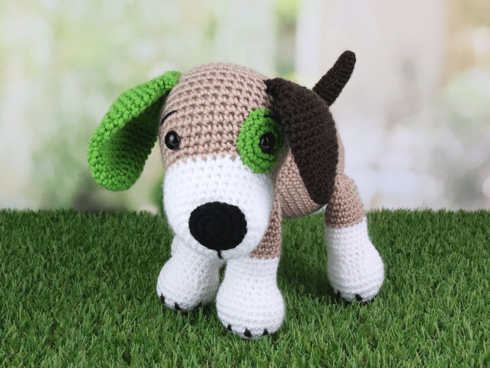 Dog01