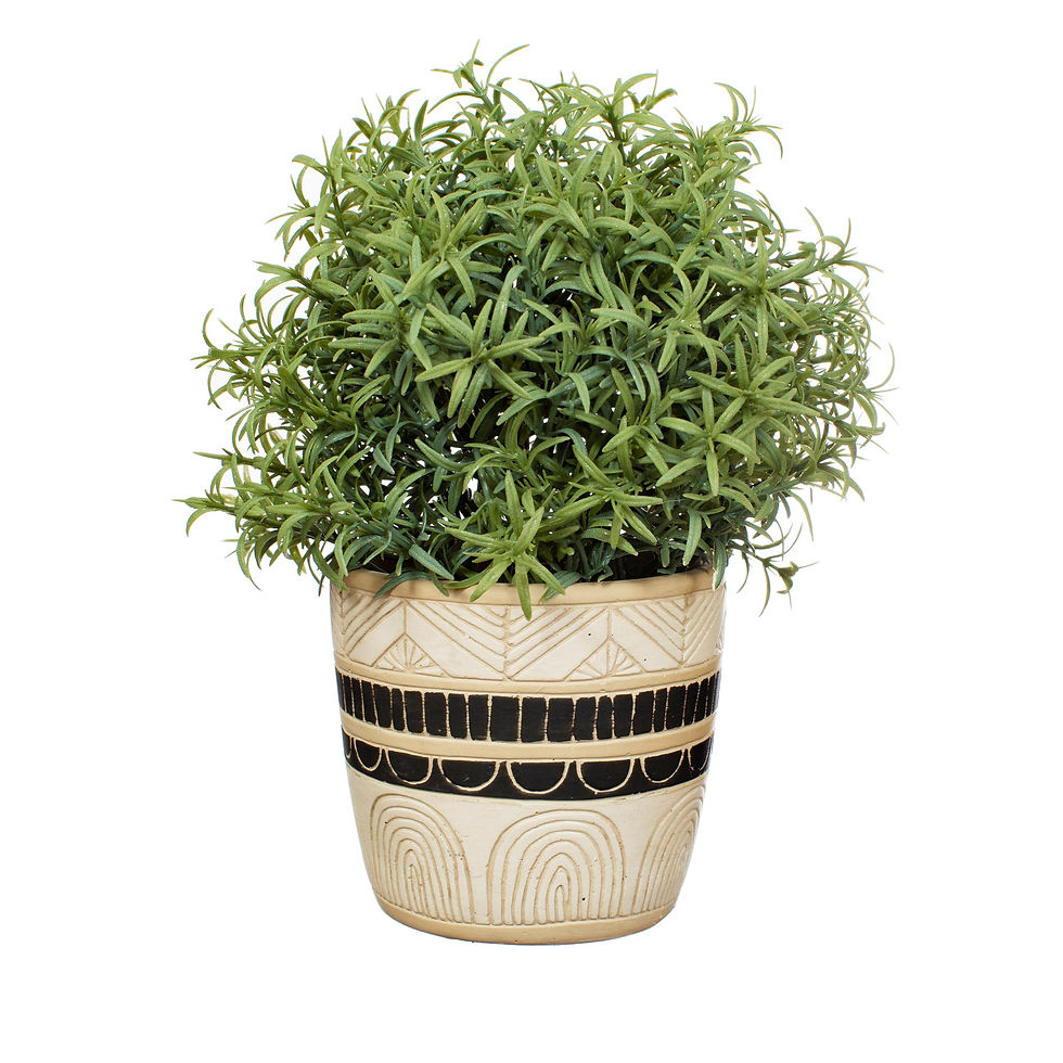 Thumbnail: Black & White Sgraffito Planter