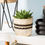 Thumbnail: Black & White Sgraffito Planter