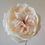 Thumbnail: Cream Gardi Rose Stem