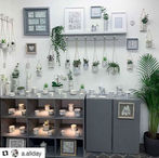 A homemade display of black and white ceramic pots and plant pots.