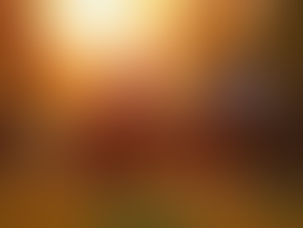 Love Is a Feeling. To Keep It Strong, It Has To Become a Verb