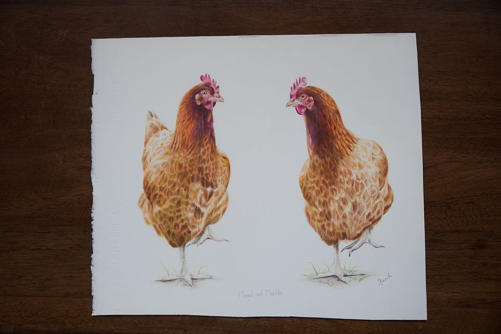 Thumbnail: Margot and Matilda - Coloured Pencil Framed Original