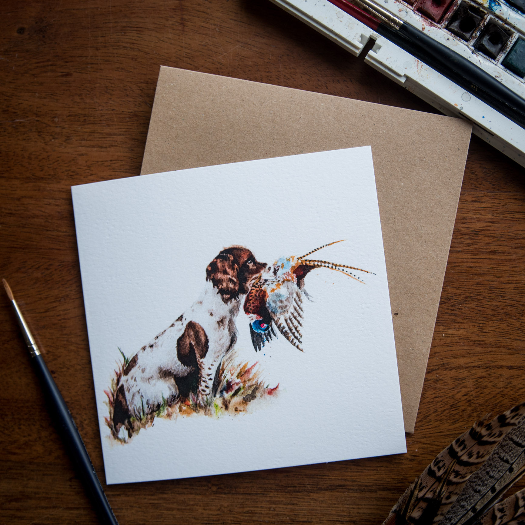 'Springer and Pheasant' Greetings Card - Pack of 10