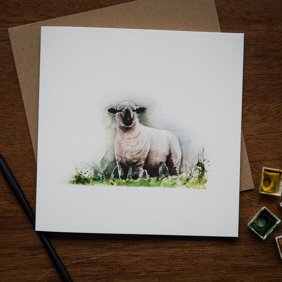 Thumbnail: The Country Life Collection - Pack of 6