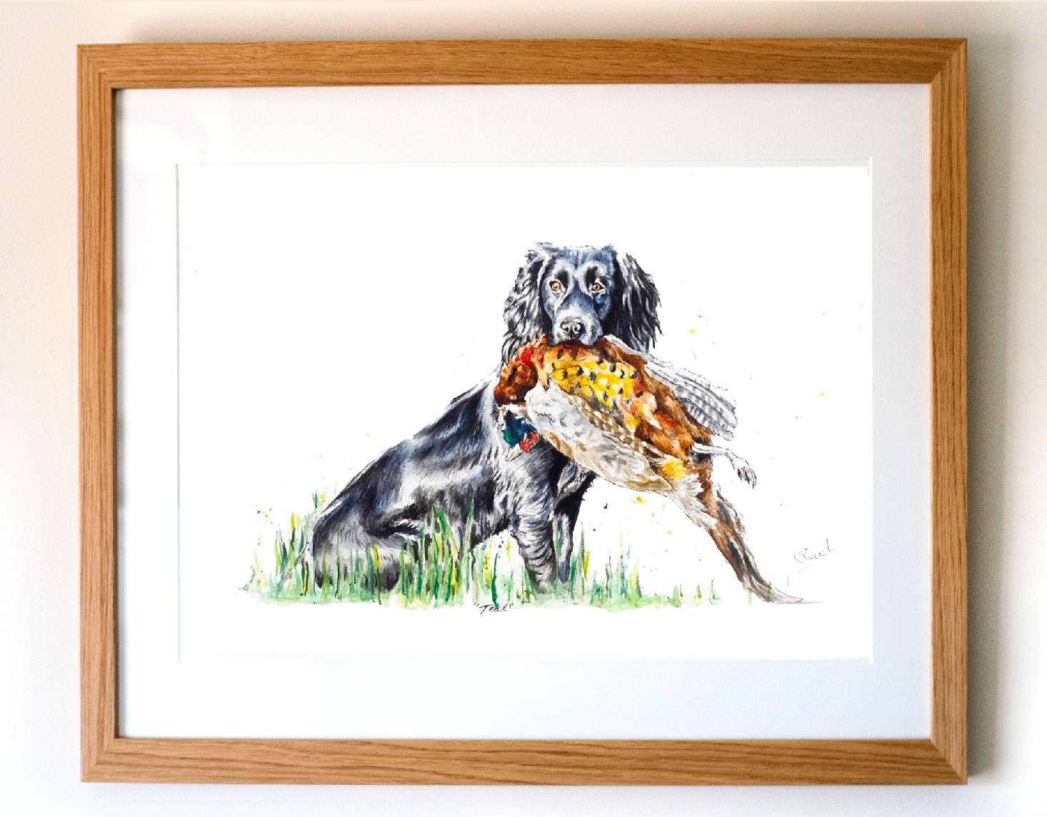 Cocker Spaniel and a Pheasant