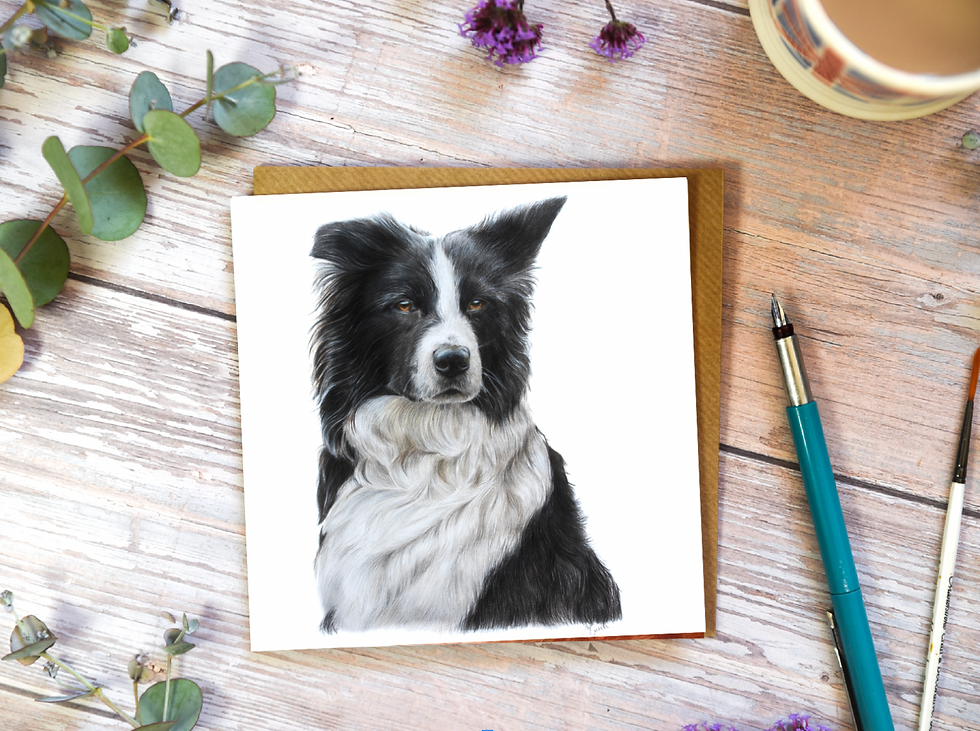 Border Collie Card