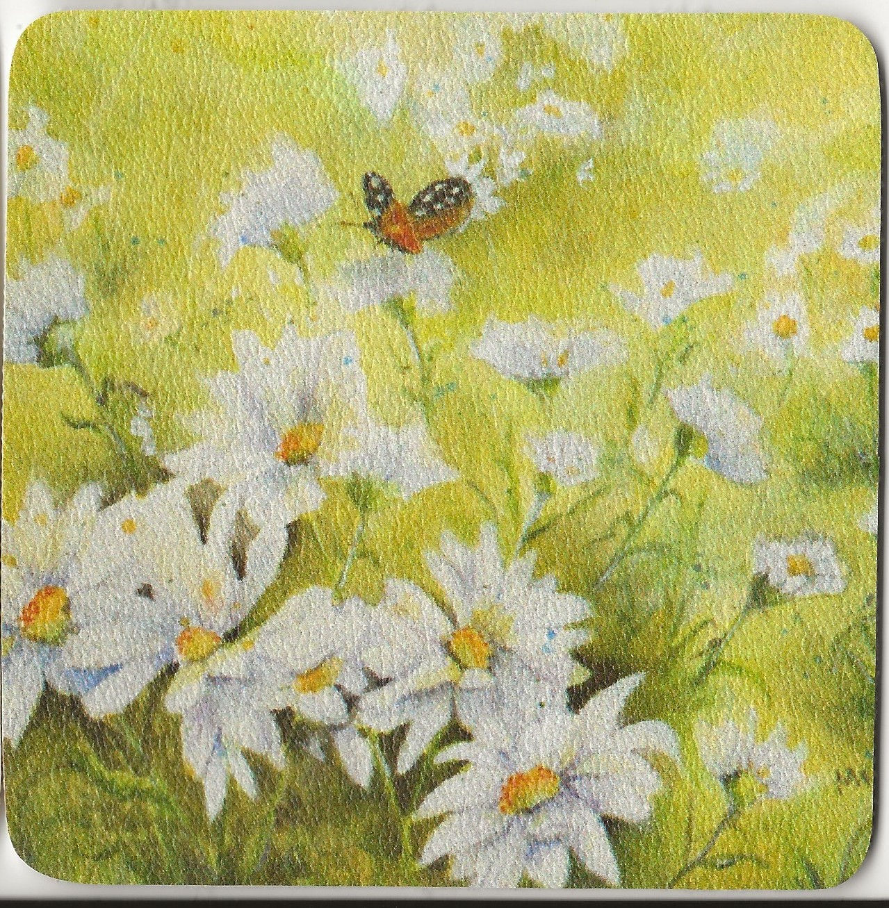 Coaster Daisies
