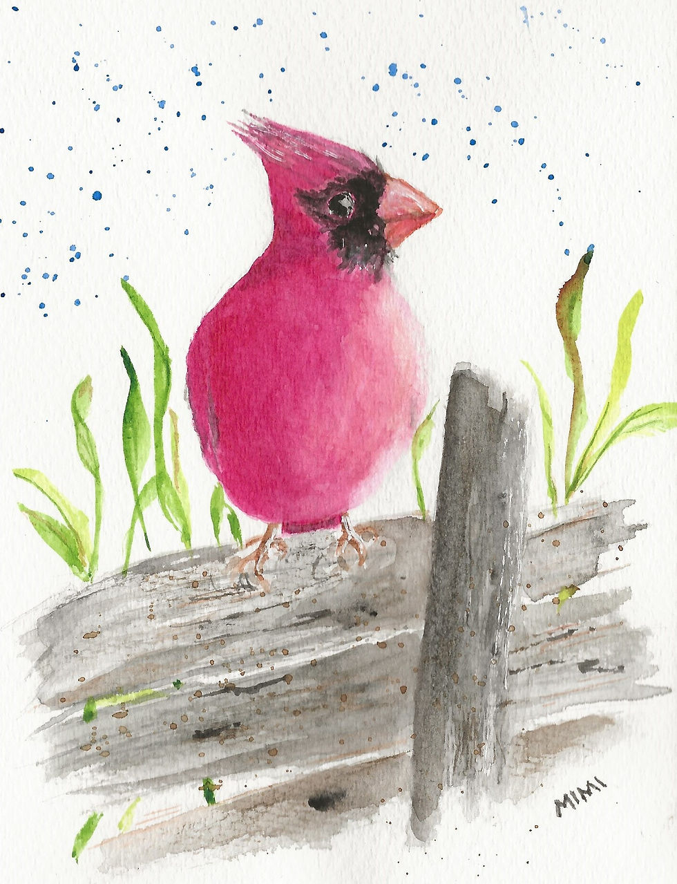 Thumbnail: Cardinals