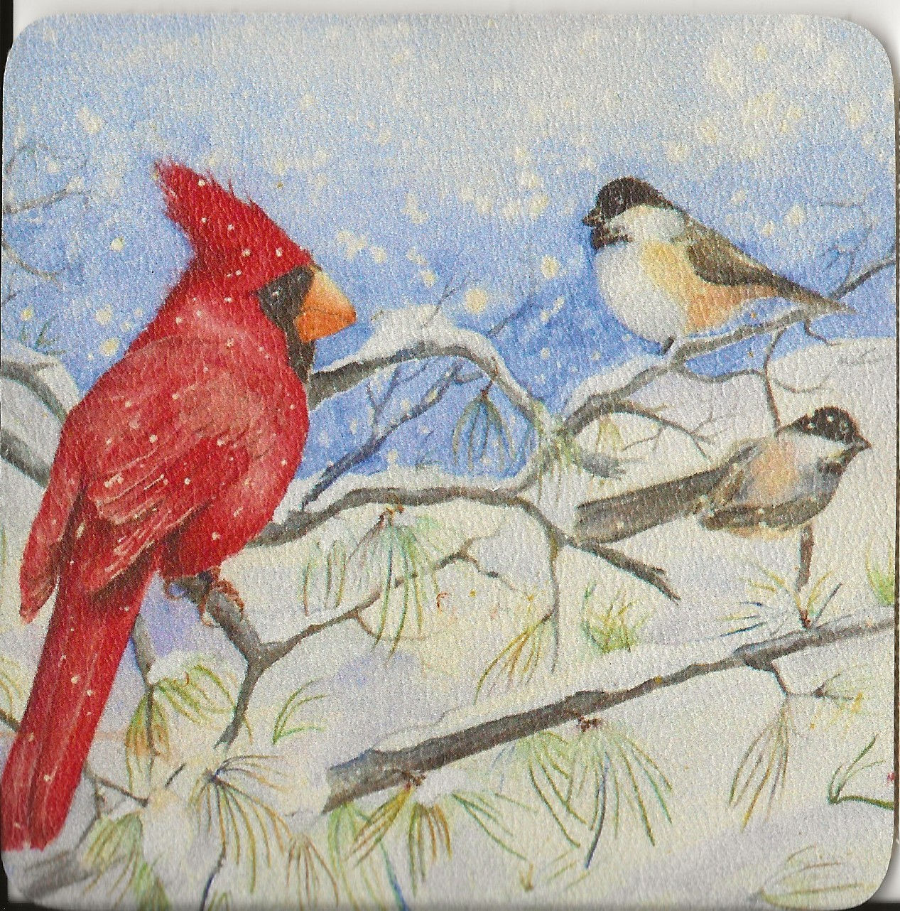 Coaster First Snowfall