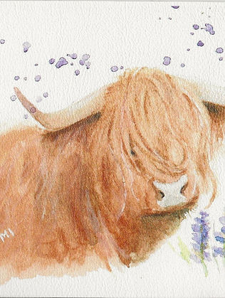 cow.jpg