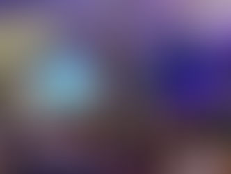 The Dutch Elections through a European Lens