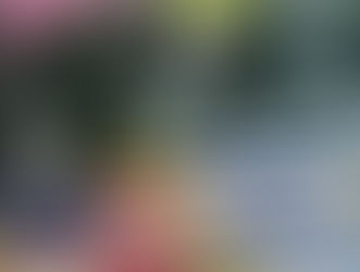 How the Iran Conflict Could Impact Europe and the Netherlands