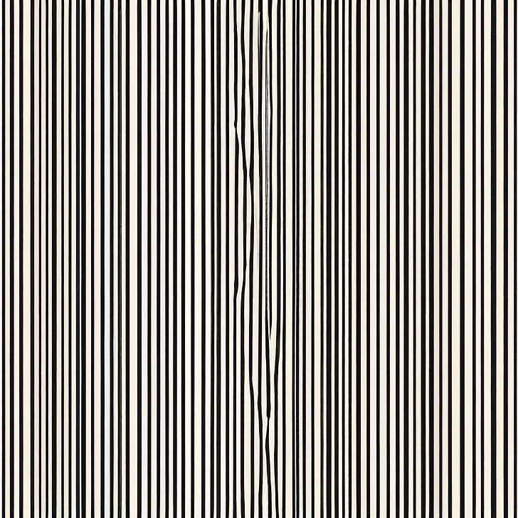black and white symmetrical vertical stripes.jpg