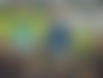 Vendor Application for Lavender Bloom Festival 2026