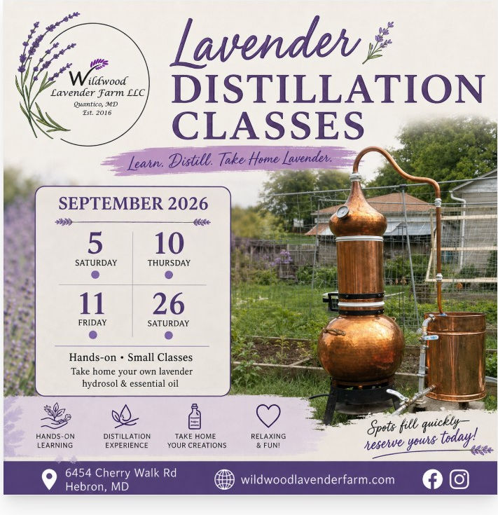 Distillation Class 2026 post.jpg