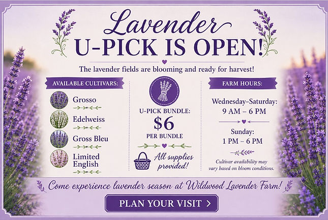 July upick info.jpg