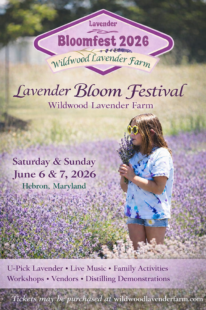 Promo Card no QR code 2026.png