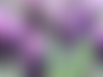 NEW: Anouk Spanish Lavender