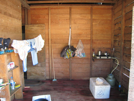 サバイバルの時代に備える