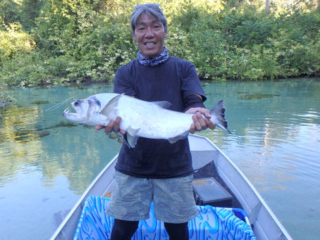世界最大のアマゾン河を釣る