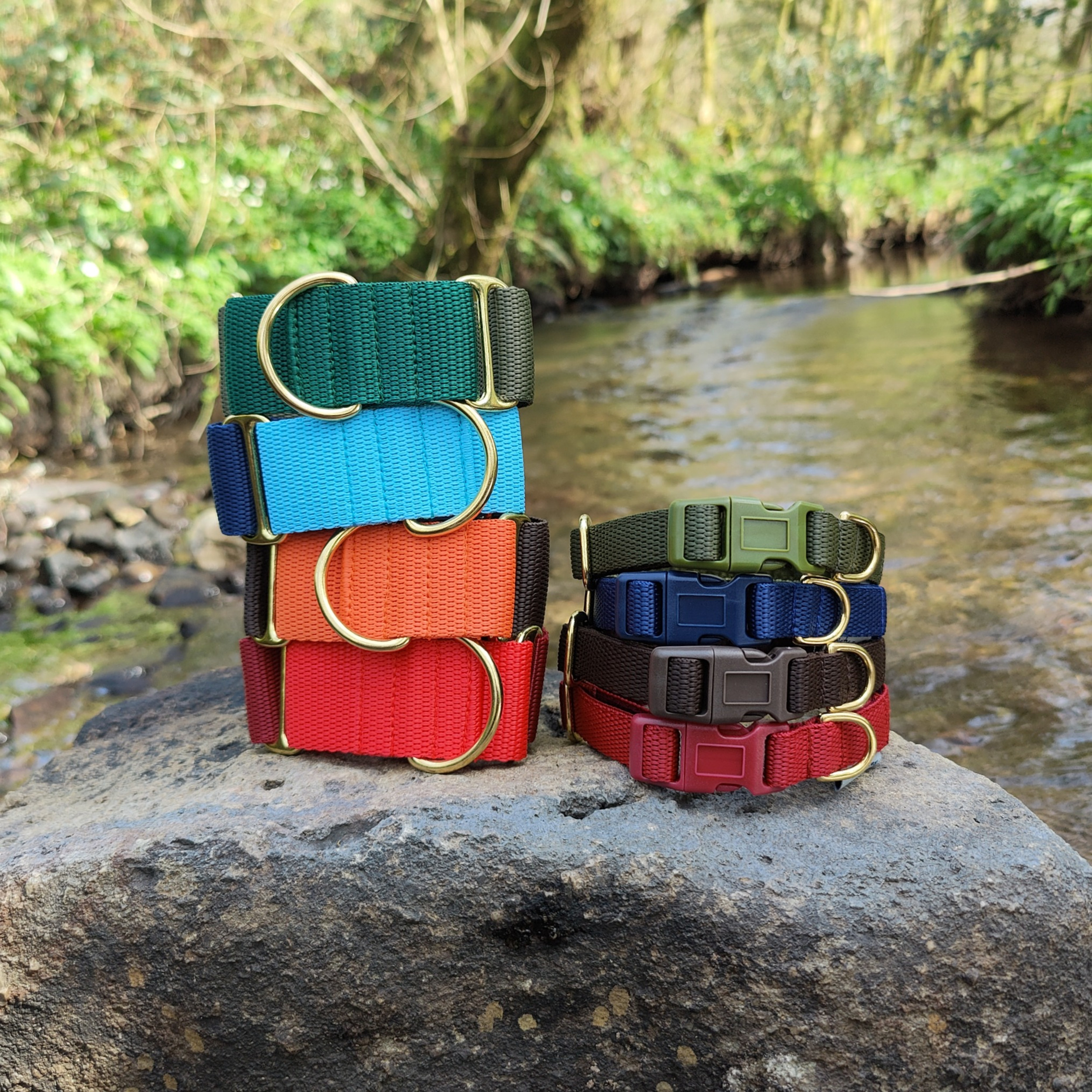 Martingale Collar Greyhound Lurcher Whippet Wide Collars Pointy Faces