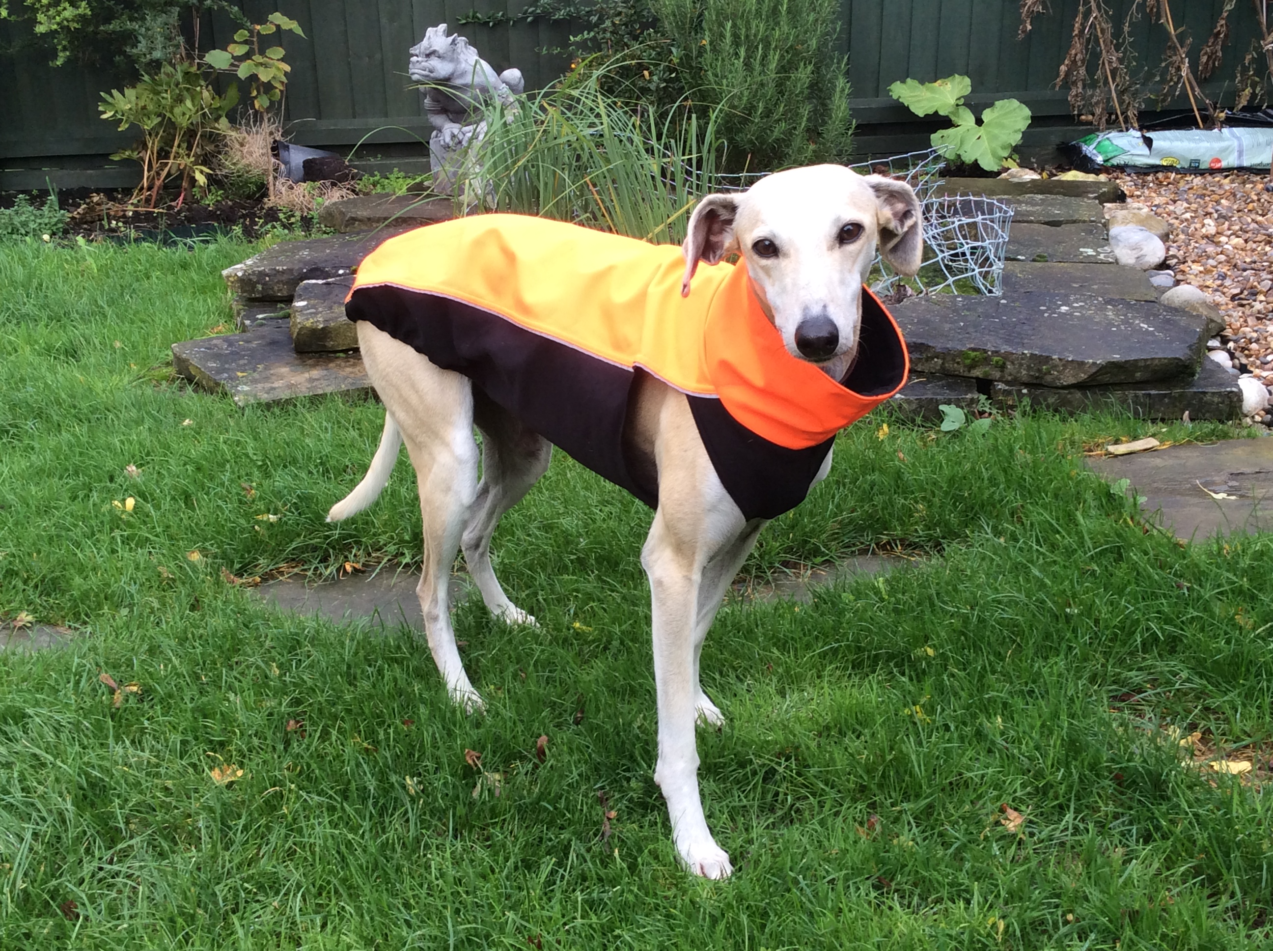 Lurcher Whippet Reflective Coat