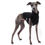 Thumbnail: Italian Greyhound Jumper Black