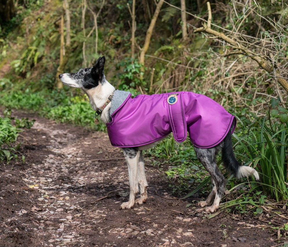Pointy Faces Cerise Lurhcer Coat 2
