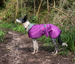 Pointy Faces Cerise Lurhcer Coat 2