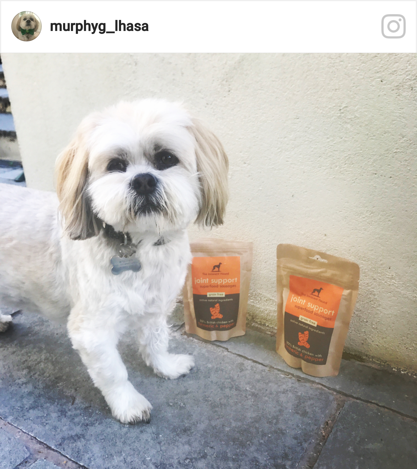 Pointy Faces Natural Dog Treats