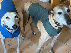 Under Vests for Lurchers and Greyhounds
