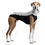 Thumbnail: Sighthound Fleece Jumper in Mirage Grey