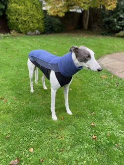 Greyhound Fleece Jumper in Blue