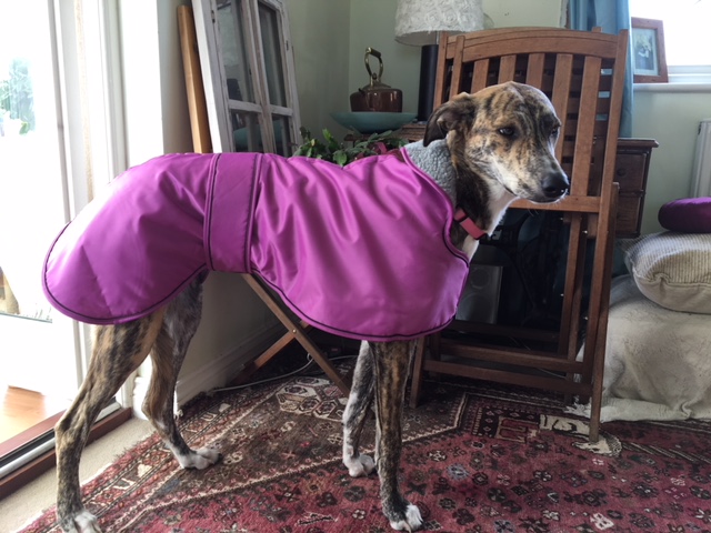 Lurcher Winter Coat Sighthound Pink