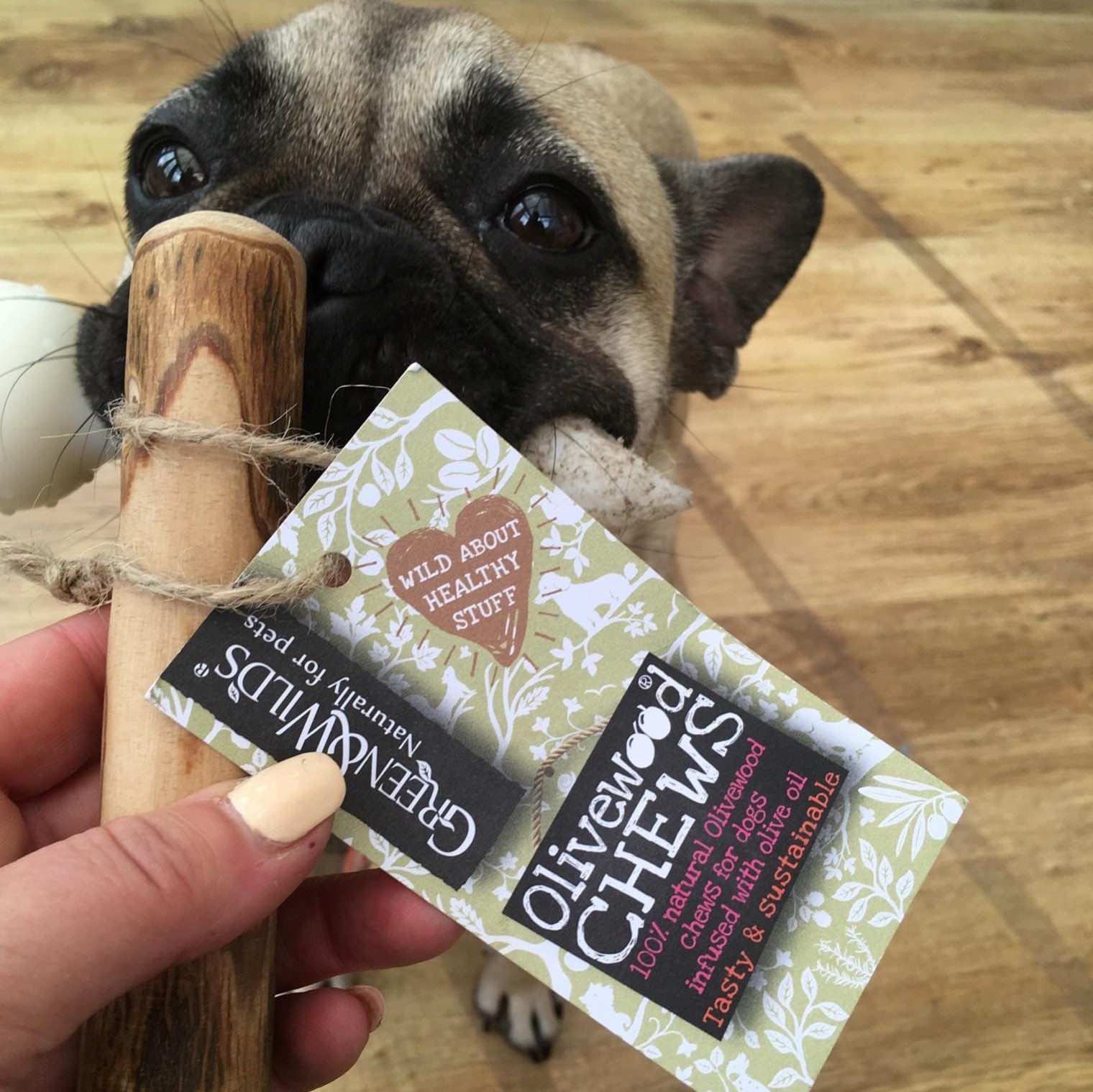Pointy Faces Olivewood natural dog chew