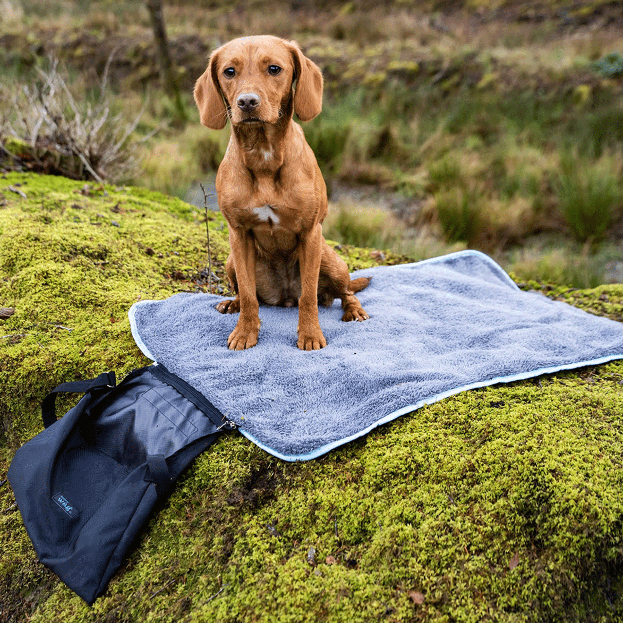 Easy Roll Travel Bed