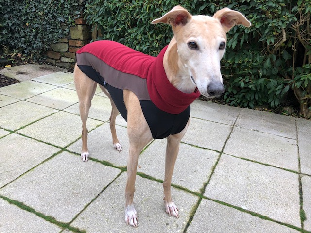 Greyhound Jumper Red by Pointy Faces UK