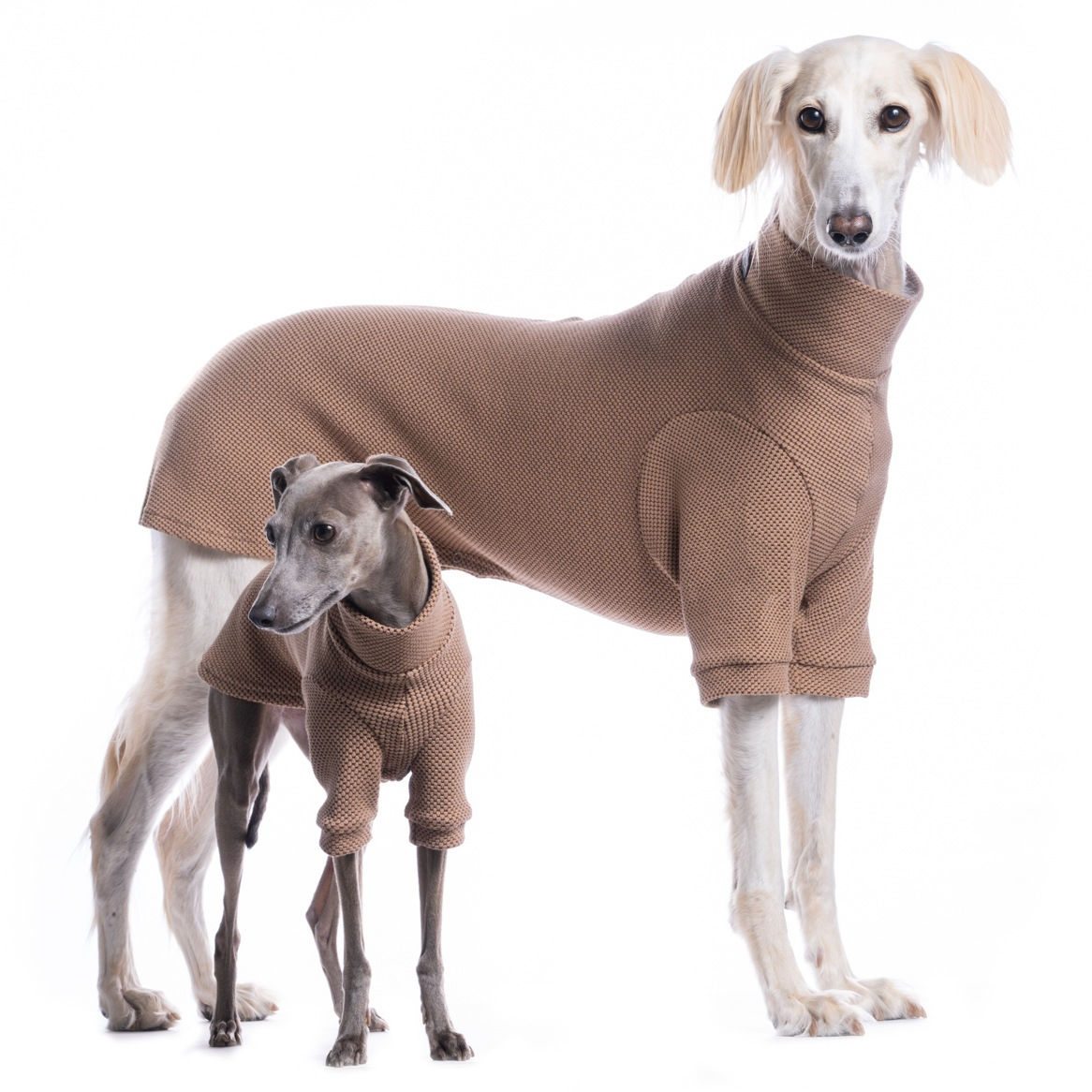 Sighthound Urban Jumper in Tigers Eye
