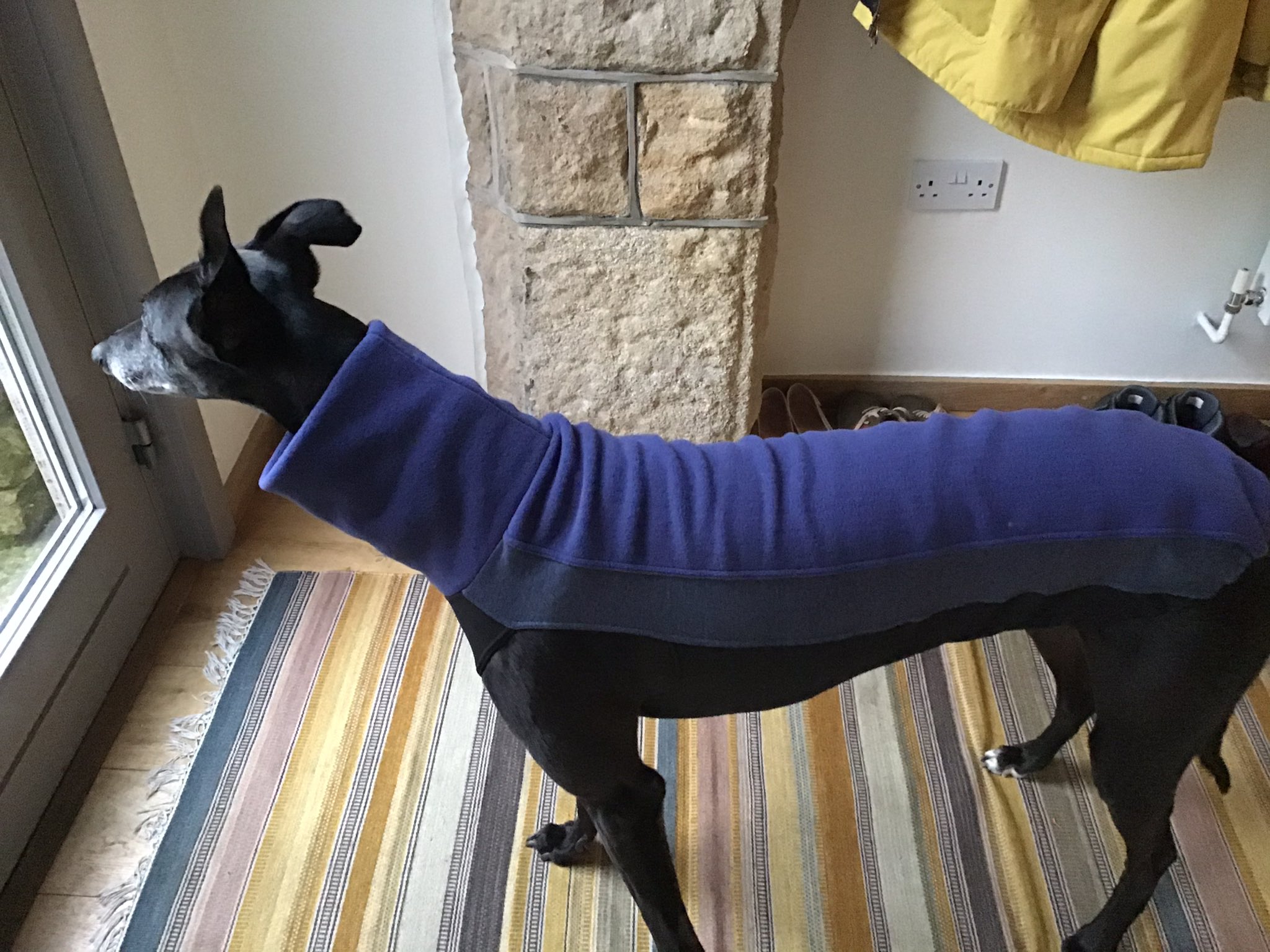 Greyhound Jumper Blue UK Art