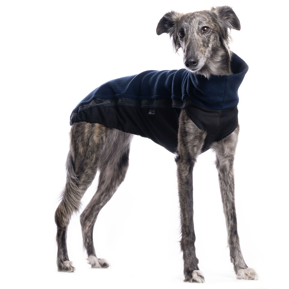 Lurcher Fleece Jumper Blue