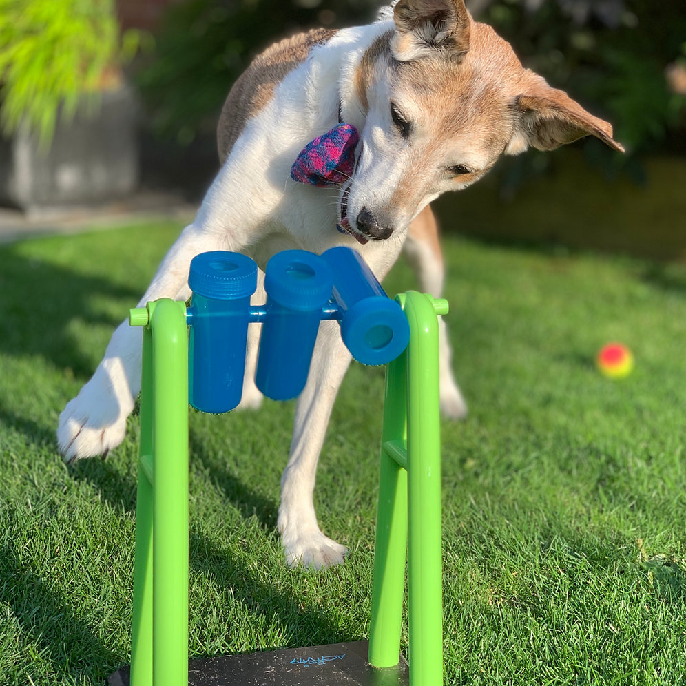 Turnaround Strategy Treat Game for Dogs Enrichment, Mentally