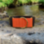 Martingale Collar Whippet Greyhound Lurcher in Brown and Orange