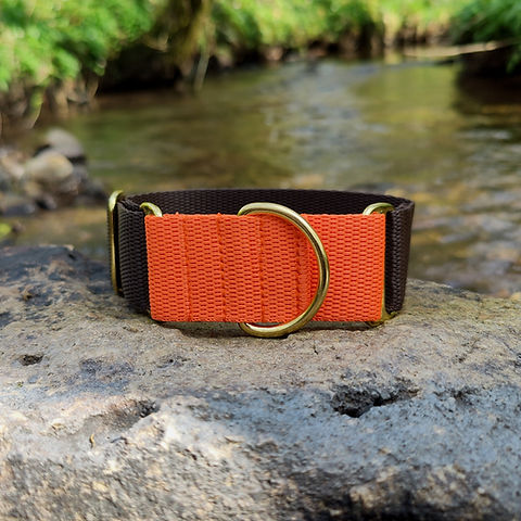 Martingale Collar or inch for Sighthounds Brown Orange